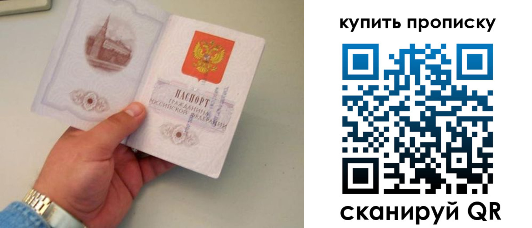 прописка для работы в Апатитах